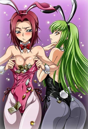 バニーガールの抜けるエロ画像ください！