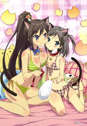 【変態王子と笑わない猫。】の剥ぎコラまとめ