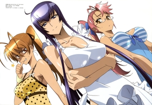 【学園黙示録 HIGHSCHOOL OF THE DEAD】ハイスクールオブ・ザ・デッドの剥ぎコラまとめ