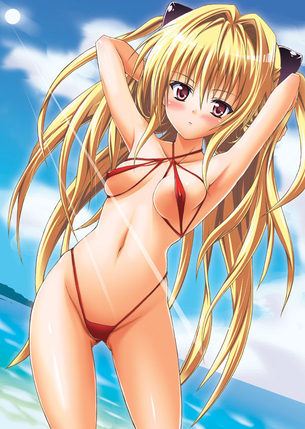 【二次・水着】み、見えちゃうよ～！ 超絶過激なスリングショットの水着画像 part1