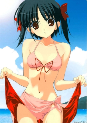 【二次・水着】美少女のエロエロな水着画像で暑い夏を乗り切ろう！ その2