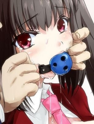 【口枷】緊縛されてボールギャグや猿轡で口封じされてるエロ画像 その4【2次元】