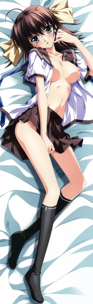 【抱き枕】アニメ・ゲーム系のエロい二次元抱き枕カバーの画像 その58