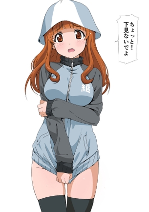 【2次】「 ガルパン 」の 武部沙織 ちゃんの可愛い 二次エロ画像 【ガルパン】