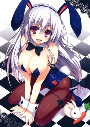 【2次】エロ可愛いバニーさんの2次エロ画像 その15【バニーガール】