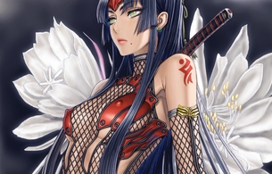 『不如帰 大乱 -1553 竜虎相搏つ-』女の子がほぼ裸のエロすぎる服を着てるエロイラスト！