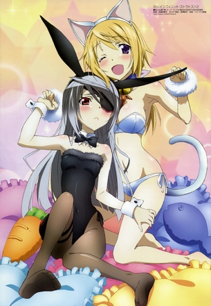 【2次】セクシーな バニーガール 姿の美少女 二次エロ画像  その16【バニーガール】