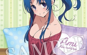 アニメ『とらドラ！』大河のエロい太ももやあーみんのおっぱいがエロすぎるタペストリー