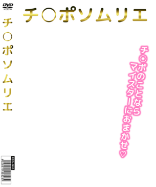 【エロコラ素材】DVDパッケージにしちゃう素材【AV表紙】その4