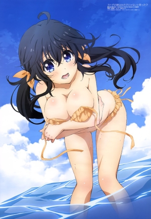 ネトゲの嫁は女の子じゃないと思った？の剥ぎコラやエロ画像 その1