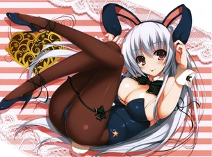 【2次】エロ可愛いバニーさんの2次エロ画像 その24【バニーガール】