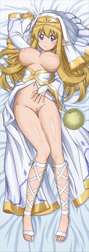 【抱き枕】アニメ・ゲーム系のエロい二次元抱き枕カバーの画像 その4