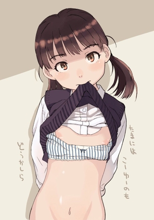 【上下たくしあげ】 恥ずかしがりながらも、見せてくれる女の子♪ 【zip】