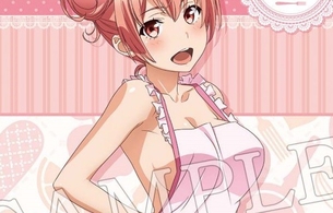 『俺ガイル』女の子たちがエロい全裸エプロン姿になってるエロイラストのタペストリー！