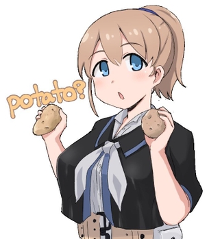 【二次・ZIP】米国産芋の艦これイントレピッドさんの画像まとめ