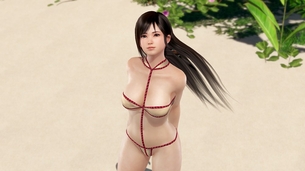 【DEAD OR ALIVE（DOA）】こころの3DCGエロ画像