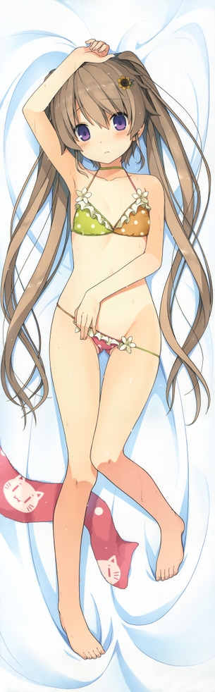 【抱き枕】アニメ・ゲーム系のエロい抱き枕カバーの画像 その88