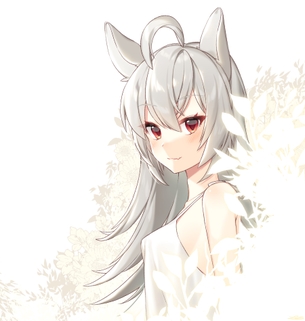 【2次】美しい 銀髪 の女の子の 二次エロ画像  その20【銀髪】