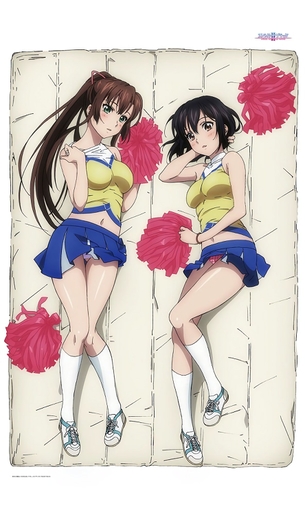 【抱き枕】アニメ・ゲーム系のエロい抱き枕カバーの画像 その78