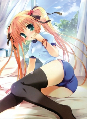 【ブルマ】汗の匂いと体操服・ブルマがぴったりなエロ画像 その8【2次元】