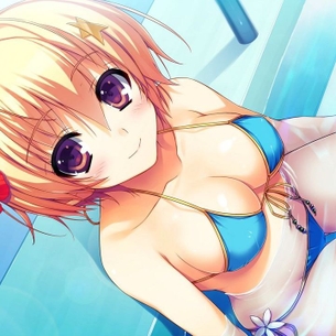 二次元美少女のエッチな水着画像詰め合わせ。 vol.20