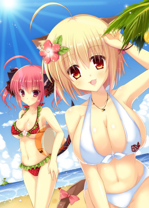 【二次・水着】こんなかわいい女の子と海とかプールとかいきたい・・・！！ その4