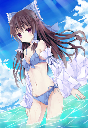 【二次・水着】暑さも吹っ飛ぶビキニ装備の美少女画像 その2