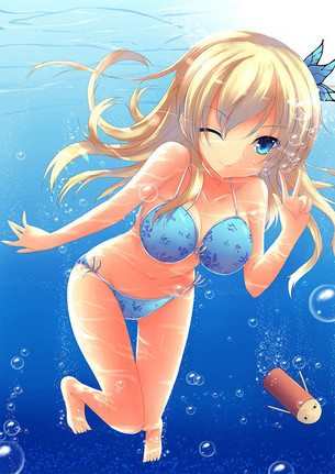 【二次・水着】今日も暑いから水着でもみて涼もうか・・・ その1