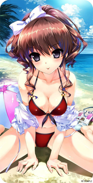 【二次・水着】女の子の健康的なカラダを堪能できる、ビキニ姿の美少女画像 その2