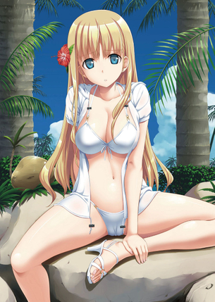 【二次・水着】厳選した美少女の水着エロ画像 その1