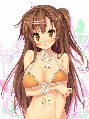 【二次・水着】もはや芸術！水着姿の美少女画像 その5