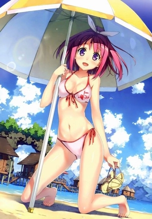 【二次・エロ画像】私は女の子の水着姿で興奮しますが、なにか？ その2