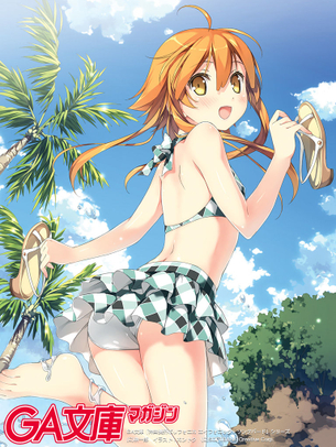 【二次・水着】もはや芸術！水着姿の美少女画像 その3