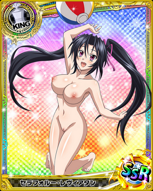 【ハイスクールD×D】第17弾 ハイスクールディーディーの剥ぎコラ その1