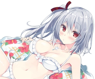 【銀髪】クールな銀髪の女の子の二次元エロ画像＆イラスト Part35