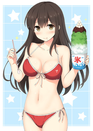 【艦隊これくしょん】赤城の無料(フリー)の二次エロ画像集