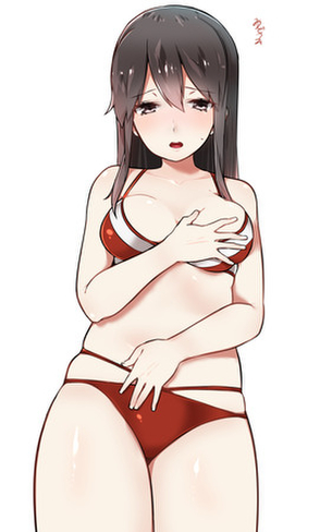 【艦隊これくしょん】赤城のかっこいい・かわいい二次エロ画像