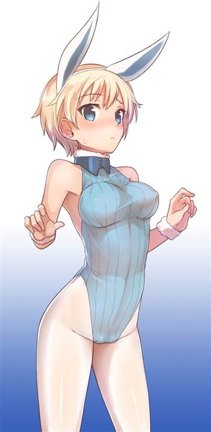 【獣耳】可愛いケモミミ娘の二次元エロ画像＆イラスト Part06