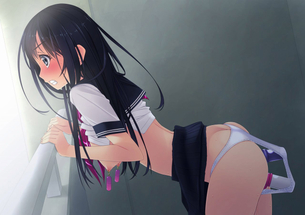 制服女子高生との青春を感じる二次エロ画像ｗ