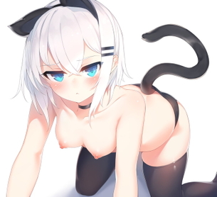 【二次】白髪、銀髪の女の子のエロ画像 Part６４