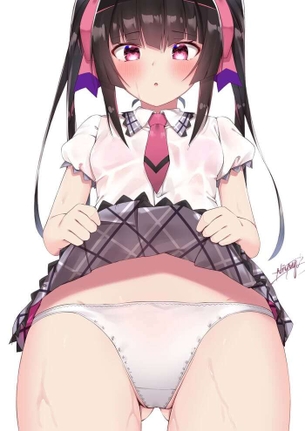 [シンフォギア][エロ画像]調のスカートたくし上げで羞恥心を煽ったよ～♪