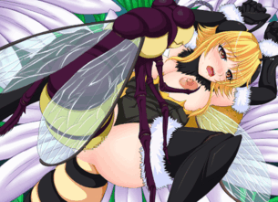 BEE WAR　あふろでぃ〜て　gif