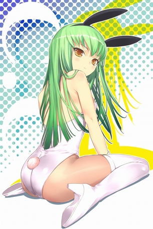【虹画像】バニーガールさん達の脚線美画像集 part10