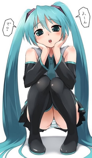 初音ミクちゃんのエロ画像キボンヌ part2