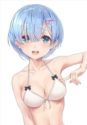 【Re:ゼロから始める異世界生活(リゼロ)】レム 二次元エロ画像＆イラスト Part3