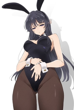 【青春ブタ野郎はバニーガール先輩の夢を見ない】桜島麻衣 二次元エロ画像＆イラスト Part4