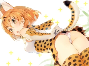 おぱんちゅが楽しめる二次エロ画像！可愛いデザインだねｗ