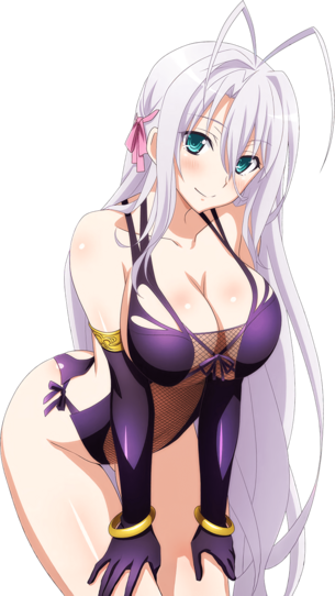 【ハイスクールD×D】 ハイスクールディーディーの剥ぎコラ その249