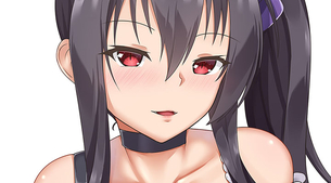 [シュヴァルツェスマーケン] ベアトリクス・ブレーメ 抜けるエロ画像＆イラスト 30枚まとめ [マブラヴ オルタネイティヴ スピンオフ]