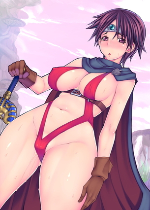 とんでもなくエロすぎるドラクエのキャラの画像まとめ